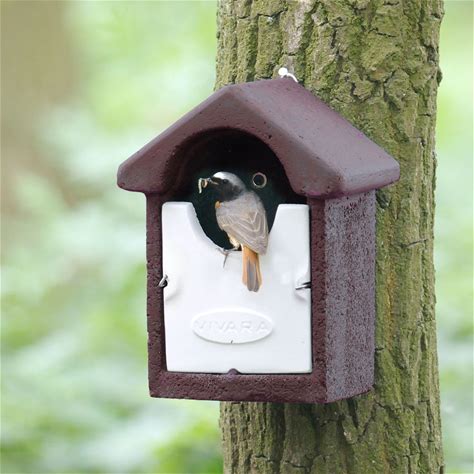 Open Nest Box For Robins Barcelona Model Brown Woodstone Concrete Bird House For Garden Nesting Birds Wildlife Shelter