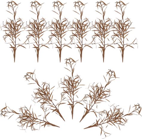 Miniature Desert Plants For DIY Landscaping 50Pcs