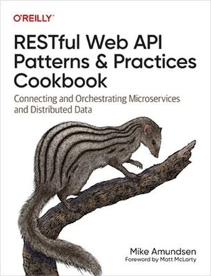 Restful Web Api Patterns And Practices Cookbook: Connecting And