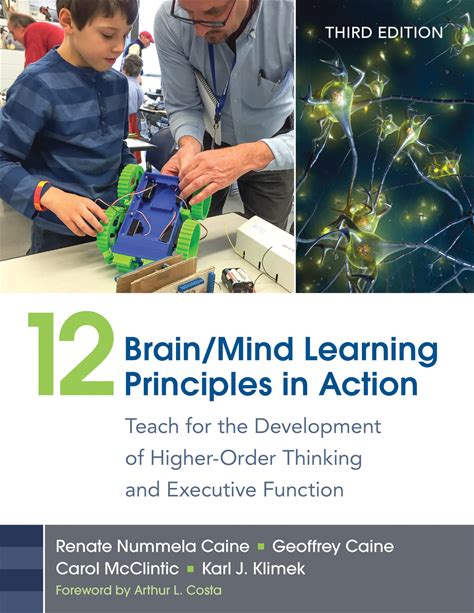 12 Brain/Mind Learning Principles In Action: Teach For The Development Of Higher-Order Thinking And Executive Function