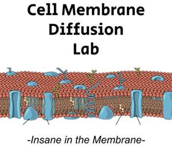 Insane In The Membrane - Cell Membrane Diffusion - Interactive LAB