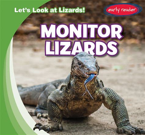 Monitor Lizards (Let's Look At Lizards!)