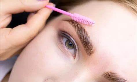 Elevate With Eyebrow Lamination With Tint Or One Ombre Powder Brows @Natallia's Beauty House (Up To 57%Off)