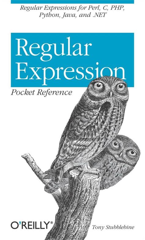 Regular Expression Pocket Reference - 1st Edition (Ebook)