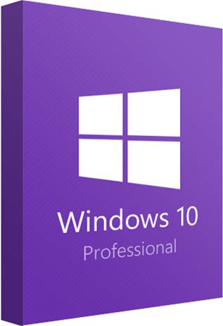 Windows 10 Professional