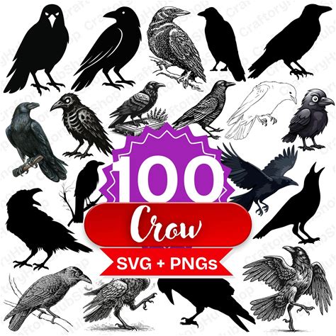 Crow SVG And PNG Clipart Bundle, Printable Bird Images, Transparent Background, Digital Crow Silhouette Set For Crafts And Junk Journals