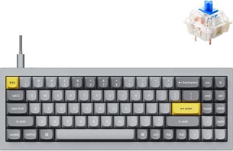 Keychron Q7 Wired Custom Mechanical Keyboard, 70% Layout QMK/VIA Programmable Macro With Hot-Swappable Gateron G Pro Blue Switch Double Gasket