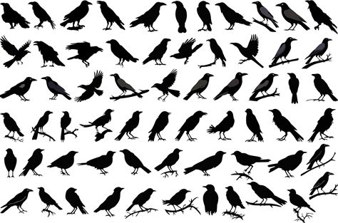 Crow Silhouettes SVG Vector Illustration Bundle