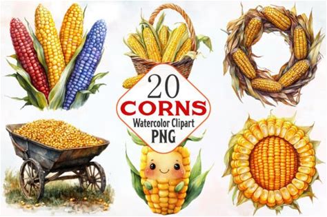 Corn Watercolor Clipart's Bundle