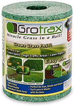 Grotrax | Patch N Repair | Year-Round Green Grass Seed Mixture Mat Roll | Great For Lawn Spots, High Traffic Areas And Lawn Repairs | Winter Resistance And Drought Tolerant | As Seen On TV | 20 SQFT