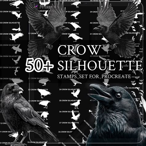 Crow Silhouette Brush Set | Crow & Raven Procreate Brushes | Gothic, Halloween And Dark Art | Digital Art | Commercial Use