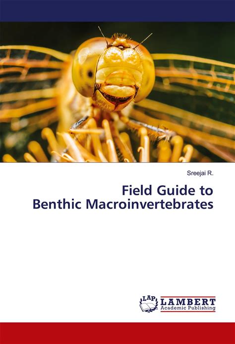 Field Guide To Benthic Macroinvertebrates