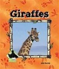 Giraffes (Animal Kingdom)