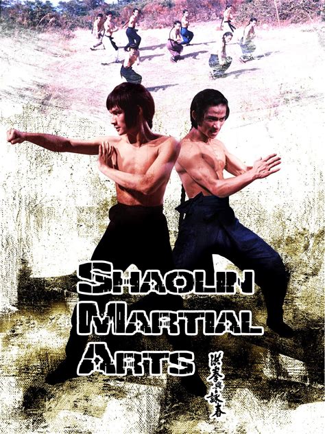 Shaolin Martial Arts