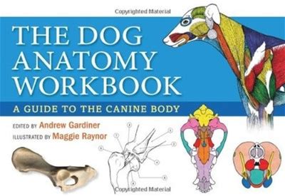 Dog Anatomy Workbook: A Guide To The Canine Body
