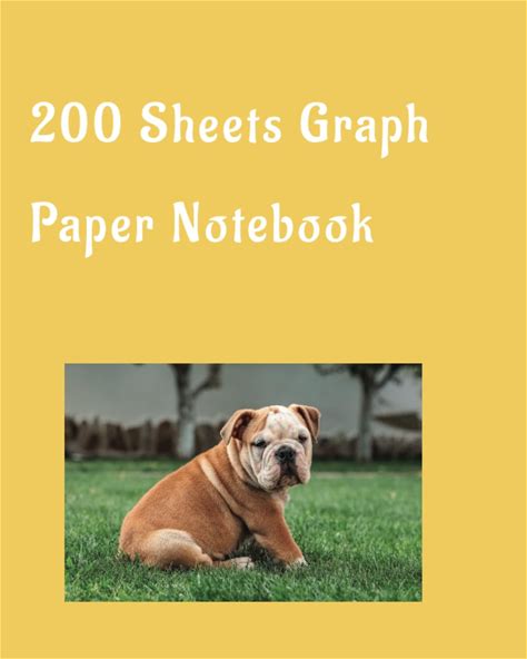 200 Sheets Graph Paper 8.5 X 11 Inch Graph Paper Notebook Grid Paper Drafting Drawing Graphing Paper: Graphing Paper, Graph Notebook, Graphing