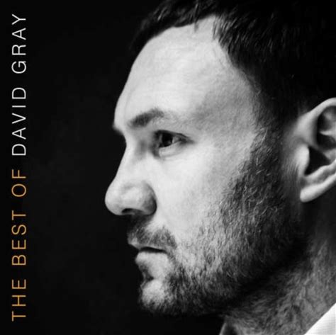 David Gray - Best Of David Gray - LP Vinyl