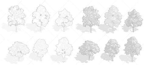 Tree Drawing, Axonometric Trees Vector, SVG, Vector