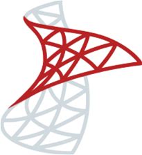 SQL Server 2022 Standard Edition - Perpetual Software License