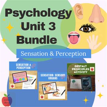 Psychology Unit 4 Bundle: Sensation And Perception | High School Psychology