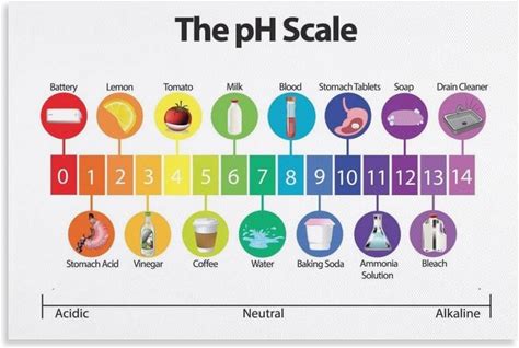 Ph Scale Chart Science Classroom Decor Chemists Educational Poster Poster 6X8 Inch