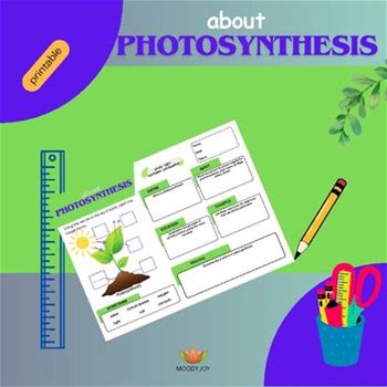 Photosynthesis: Science Warm-Up, Homework, Worksheet