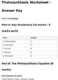 Photosynthesis Worksheet Answer Key