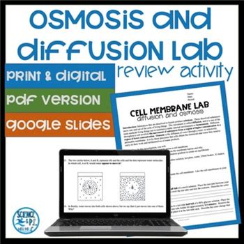 Diffusion And Osmosis Lab- Cell Membrane Activity (PDF And Google Slides)