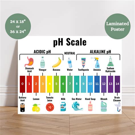 Ph Scale Anchor Chart, Acid Alkaline Ph Poster, Chemistry Classroom Anchor Chart, Acidic Basic Ph Scale Anchor Chart, Science Anchor Chart