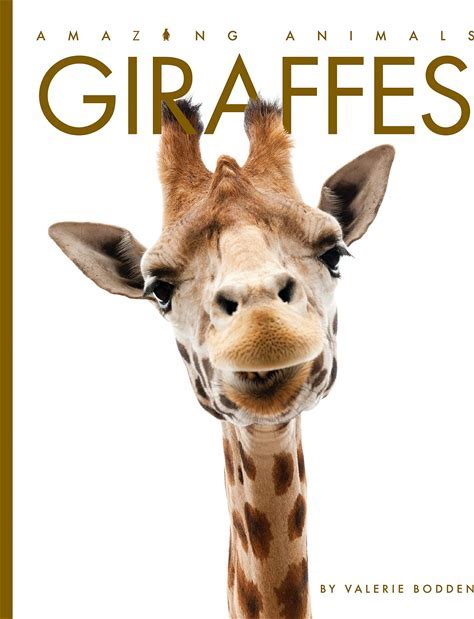 Giraffes (Amazing Animals)