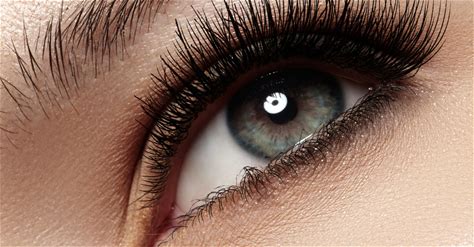 Permanent Makeup Eyebrow Ombré Gradient. | Delux_Pmu | Digital Voucher