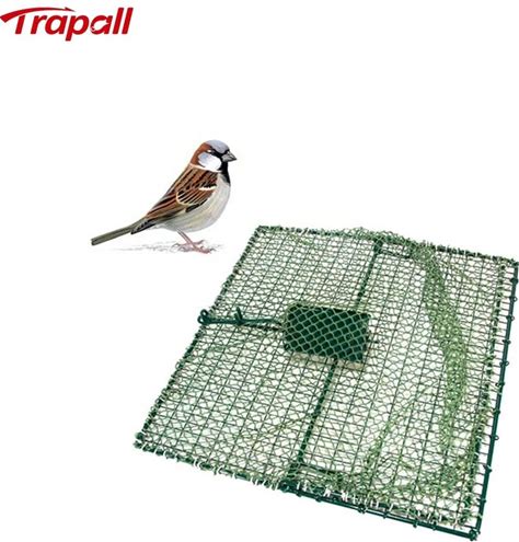 Outdoor Humane Metal Mesh Pigeon Sparrow Hold Snare Live Catch Bird Trap