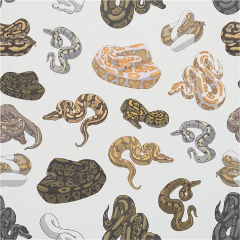 Ball Python Snake Morph Pattern Fabric
