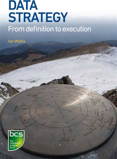 Data Strategy - 1st Edition (Ebook)