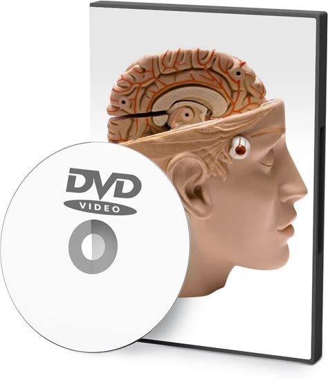 Learning APA Format - Educational Version With Public Performance Rights