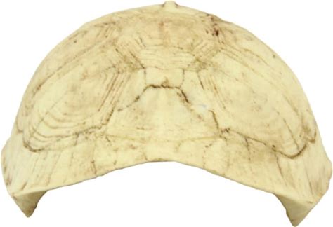 FOMIYES 1Pc Reptile Rest Cave Turtle Shell Resin Reptile Hide Cave Turtle Shell Lizard