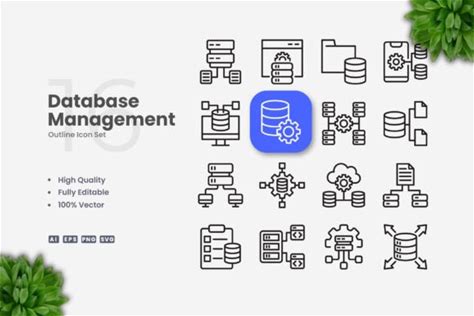 Database Management Icons