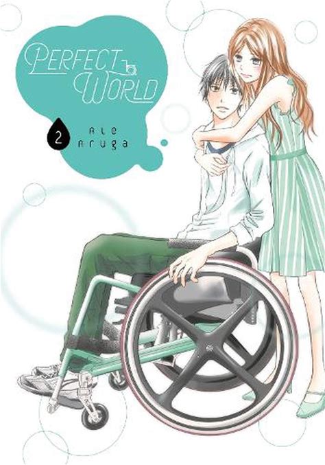 Perfect World 2 By Rie Aruga (English) Paperback Book