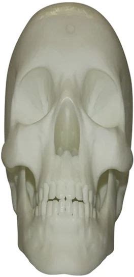 Custom Male/ Female/Animals Skeleton Model ABS Plastic Skeleton Model SLS SLA SLM Fast Prototype Stl Files 3D Printing Service