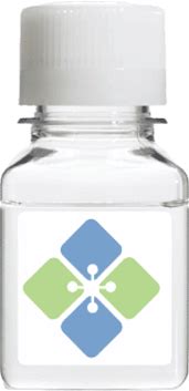 Actin From Rabbit Muscle - Research Use Only - Non-Medical