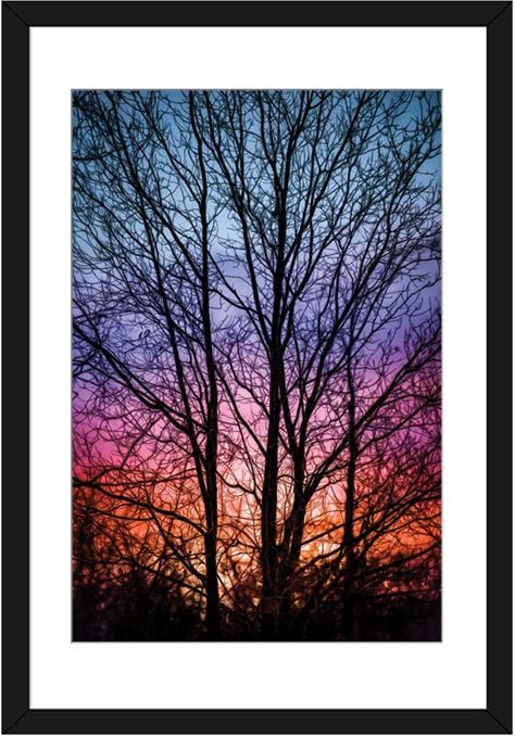 Sunset In A Forest Vibrant Drawing - Framed Fine Art Print By Nik Rave - 24"X16" - Icanvas