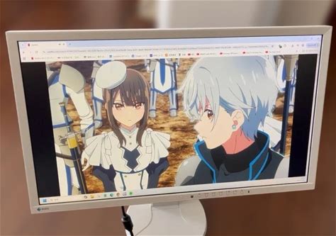 Eizo Flexscan 23 Inch EV2336W LCD Monitor Tested. EIZO. Monitors.