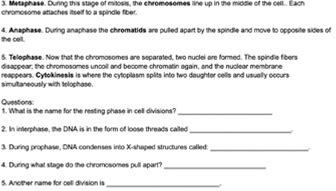 ESL Cell Cycle Coloring Worksheet (Reading, Questions, Color Coding)