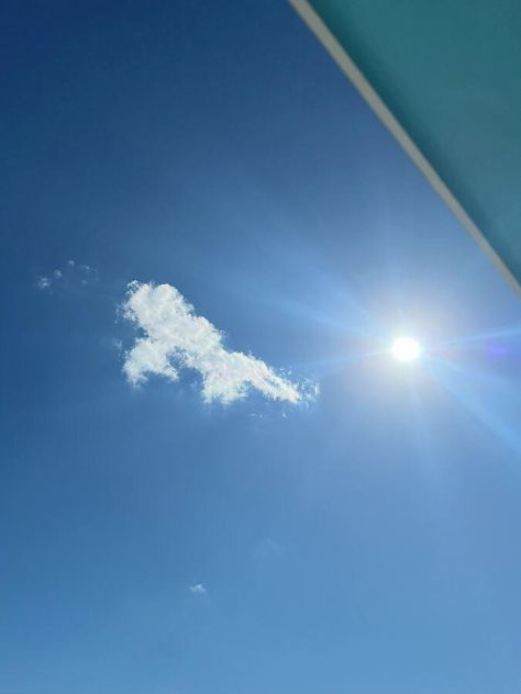 Tinkerbell Flipping In The Sky