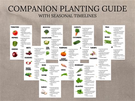 Companion Planting Guide, Garden Planting Chart, Plant Planner, Vegetable Spacing, Veggie Season, Plant Cards, Gardening Organizer,