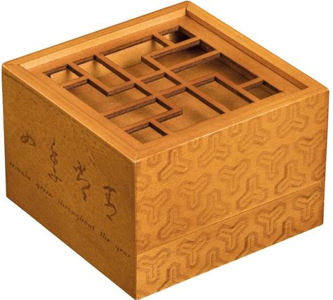 Philos 5530 - Secret Box Treasure, Puzzle Box, Gift Box, Puzzle Box, Trick Game Made Of Wood
