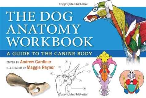 Dog Anatomy Workbook: A Guide To The Canine Body By Andrew Gardiner