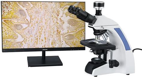 1000X 5000X Optical Digital Biological Laboratory Microscope Trinocular Microscope For Laboratory