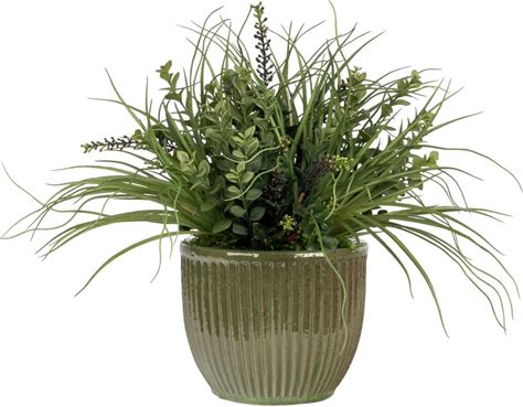 10 Kiwi Planter With Mixed Greenery AR1812