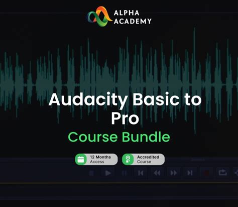 Audacity Basic To Pro Course Bundle Alpha Academy Code